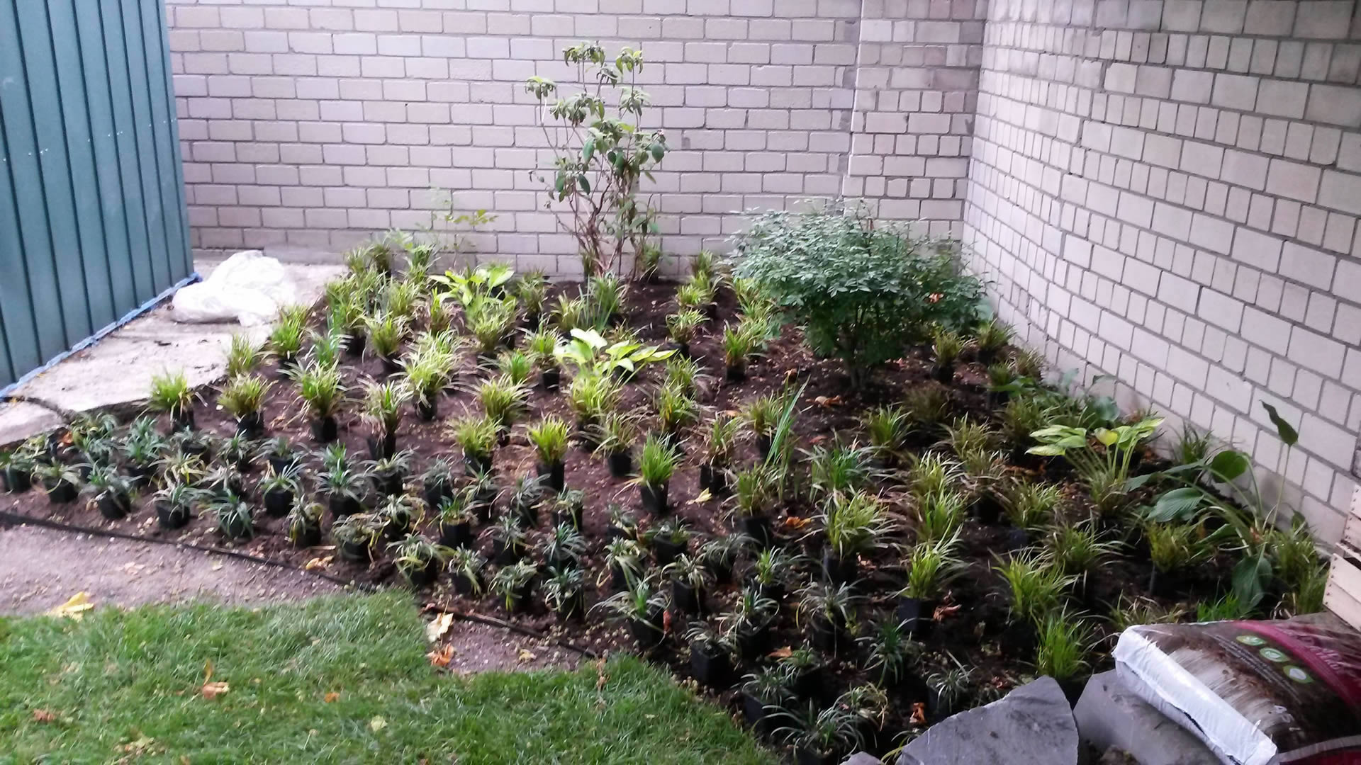 Pflanzen ausgestellt