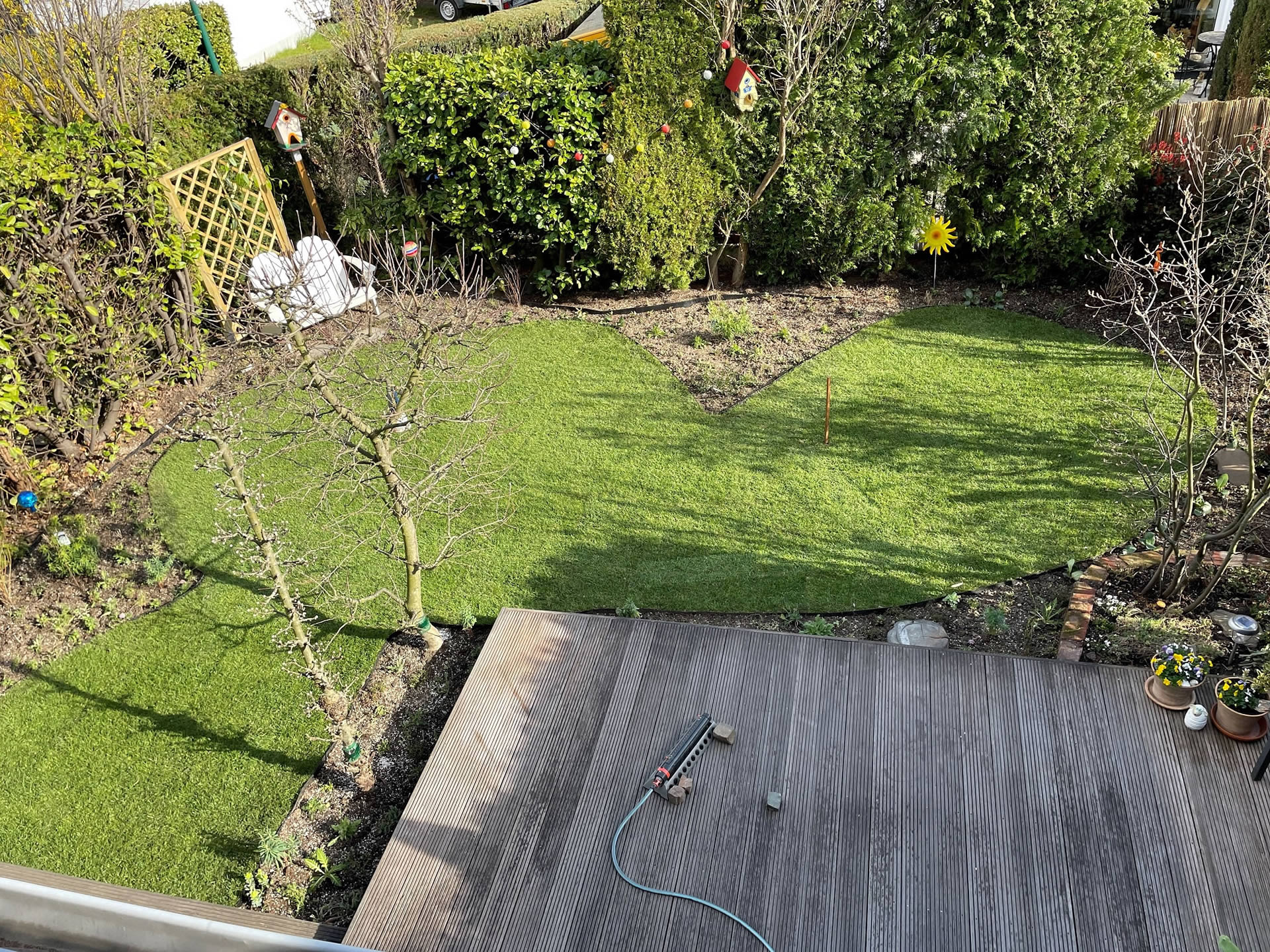 Kundenbeispiel Gartenumgestaltung Bepflanzungsplanung Hürth 2021