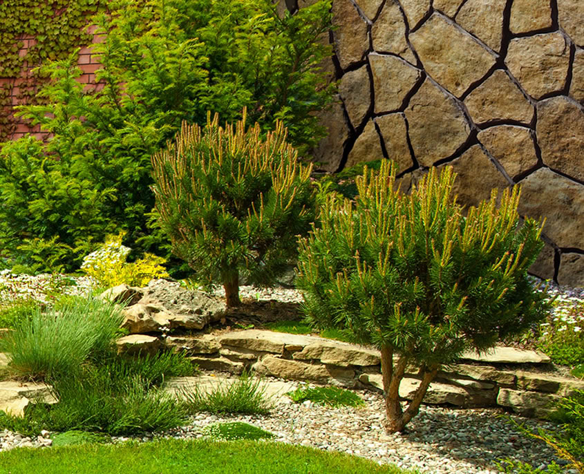 gartenpflege
