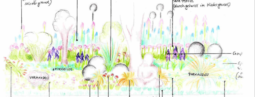 Pflanzendesign – Garten- u. Pflanzplanung - Stefanie Scholz – Eichenweg 7, 41379 Brüggen